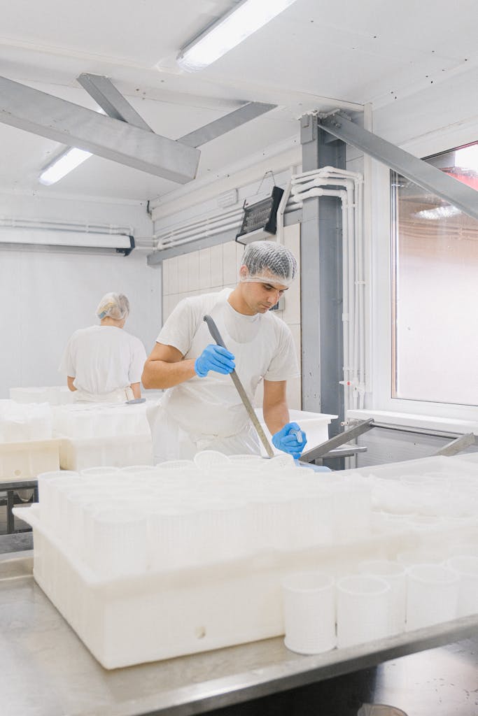 Worker in a cheese production facility handling dairy preparations.