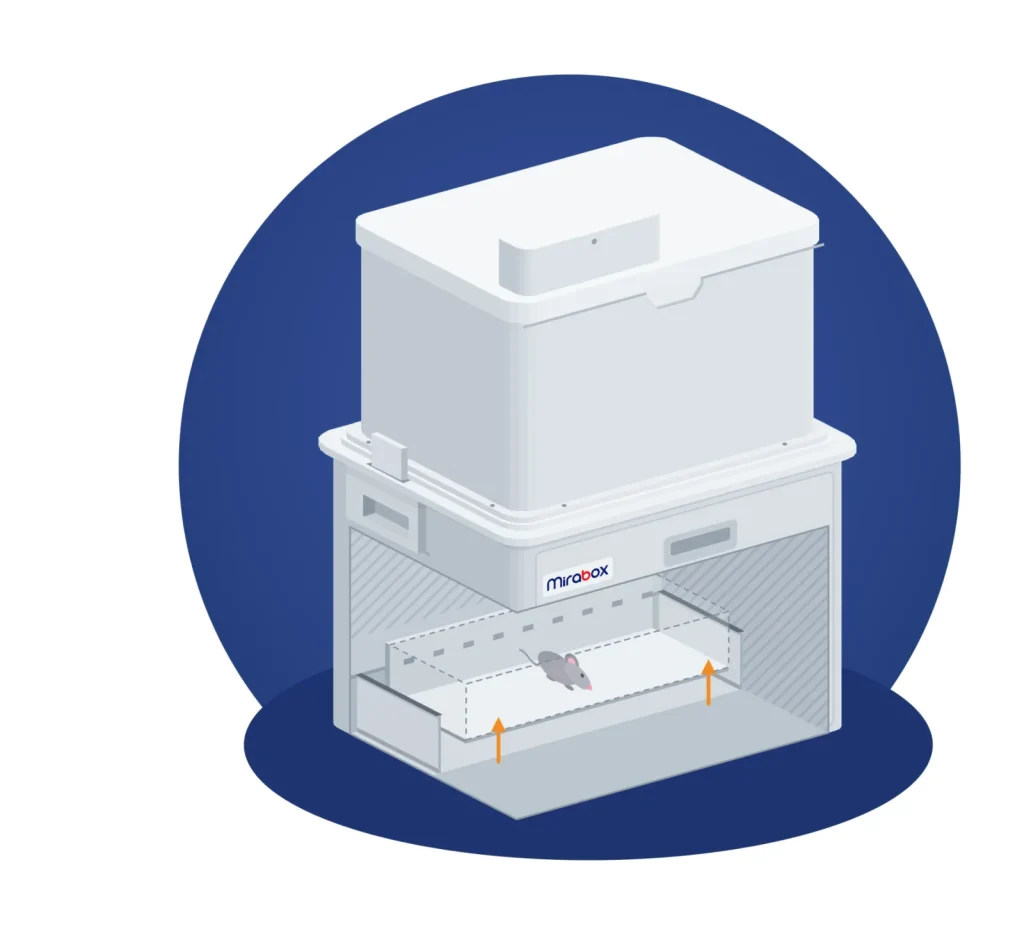 The lift raises the mouse to the upper compartment